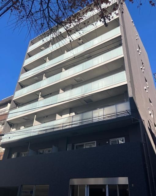 �I�X�X�������ʐ^