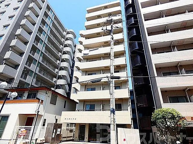 ��t�����ˎs���{�P�q