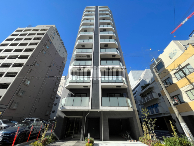 �I�X�X�������ʐ^