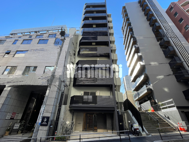 �I�X�X�������ʐ^