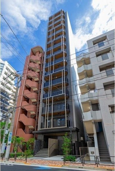 �I�X�X�������ʐ^