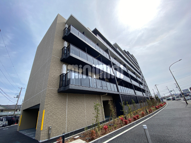 �����E�����ɍs���@���D���w�i�k��11���j