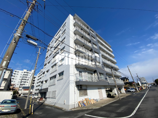 �����E�����ɍs���@���D���w�i�k��8���j