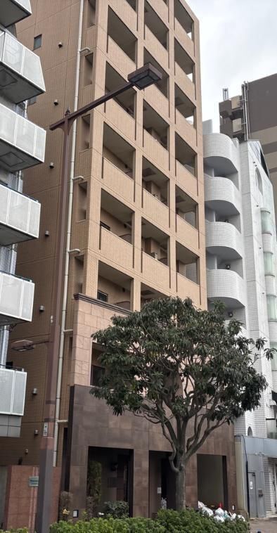 �����s�V�h��]�����P�q