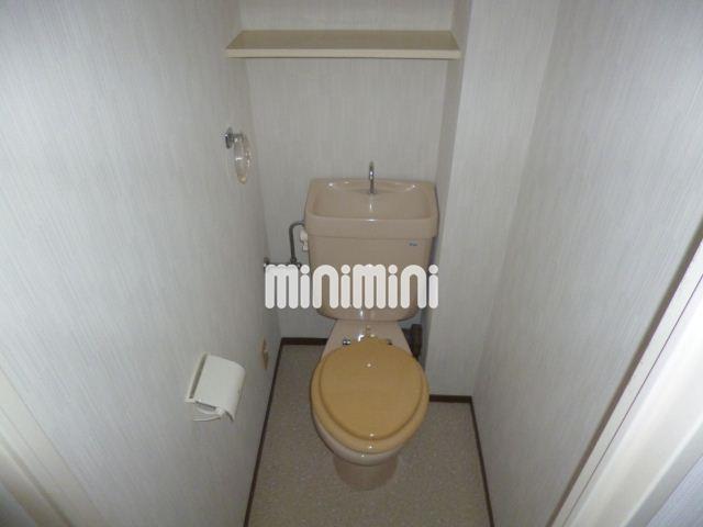 ����5