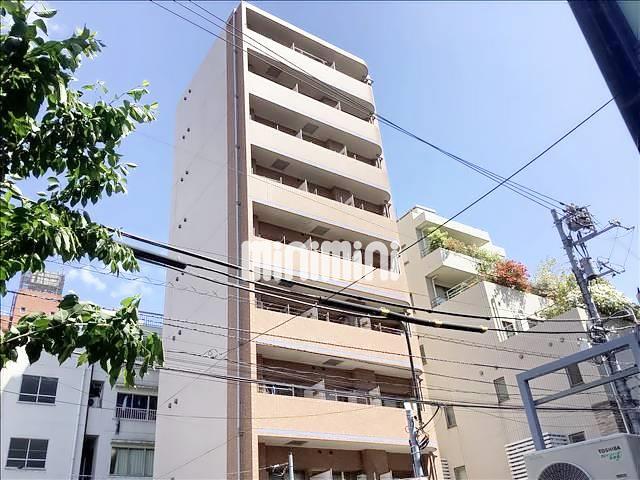 �I�X�X�������ʐ^