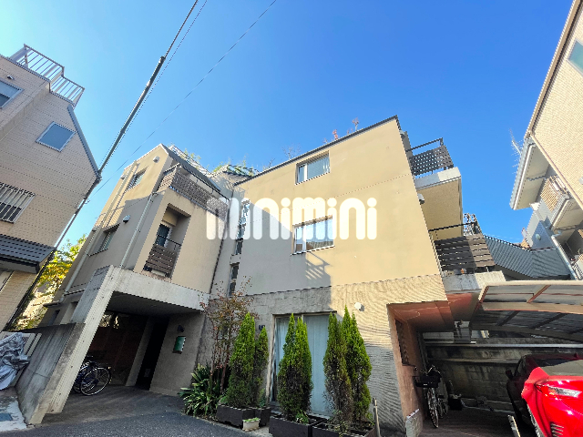 �����{���@����w�i�k��11���j