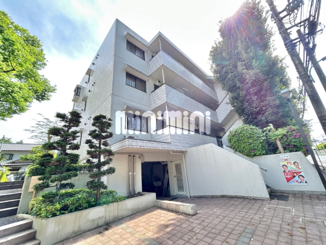 �����{���@�g�ˎ��w�i�k��21���j