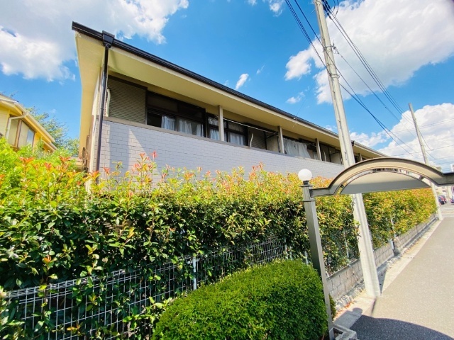 �����V�h���@��ΐ_��w�i�k��10���j