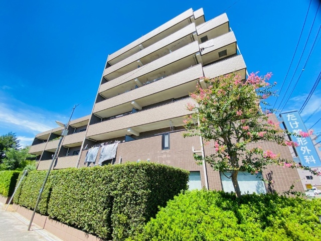 �����V�h���@��ΐ_��w�i�k��14���j