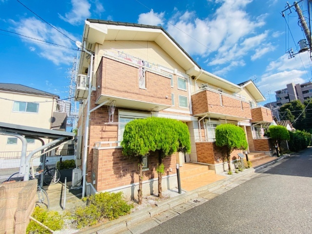 �����V�h���@�������w�i�k��22���j