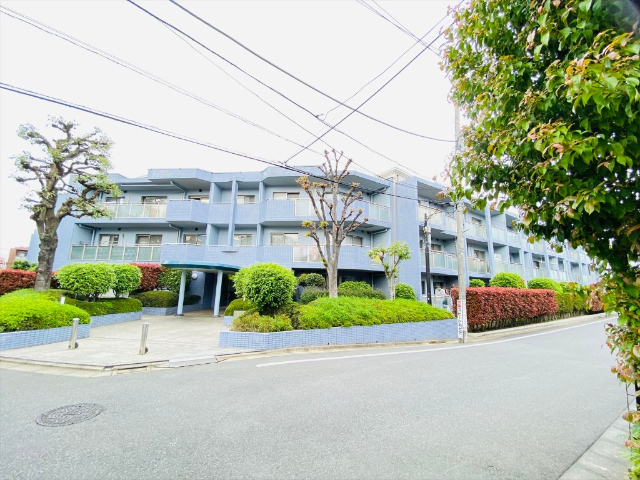 �����V�h���@�����։w�i�k��7���j