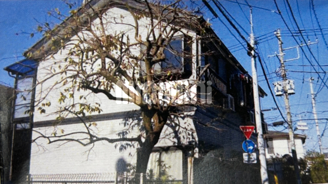 �����{���@�g�ˎ��w�i�k��15���j