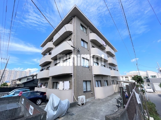 �����{���@�������q�w�i�k��10���j