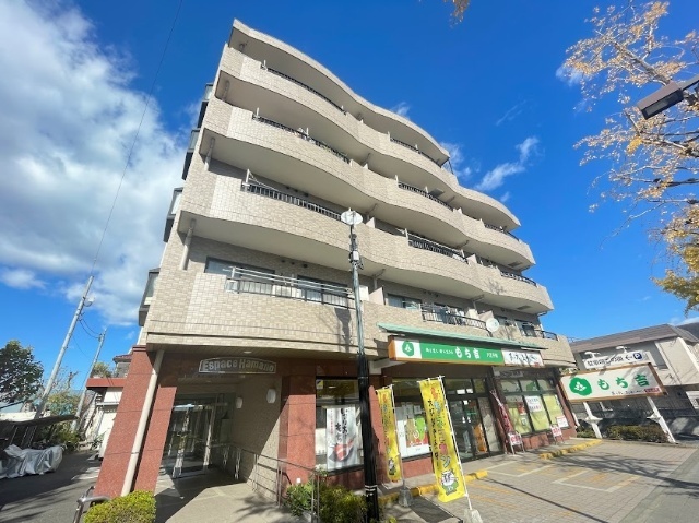 �����{���@�������q�w�i�k��14���j