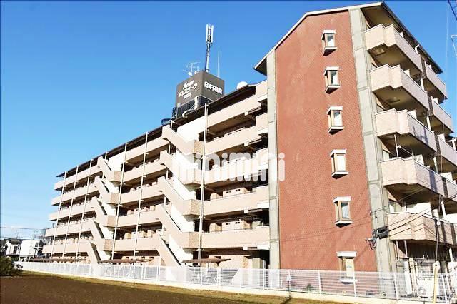 �������m���[���@���X���w�i�k��17���j