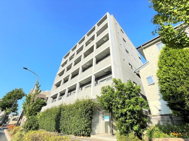 �����{���@�g�ˎ��w�i�k��17���j�A�����{���@�g�ˎ��w