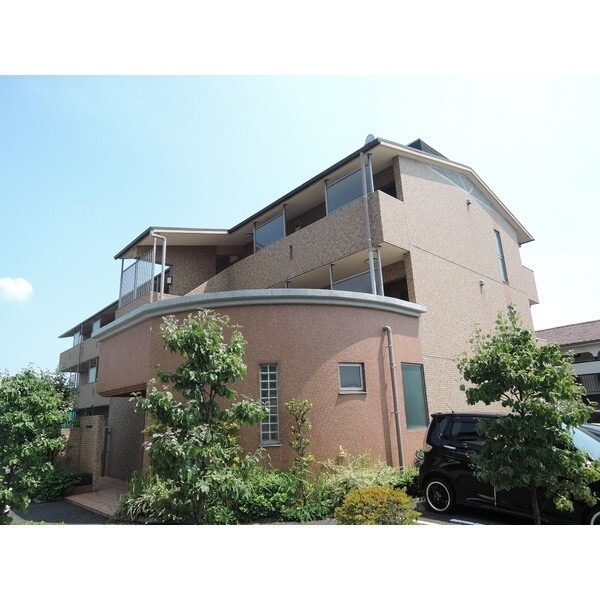 �����d�S�������@�����u�w�i�k��31���j