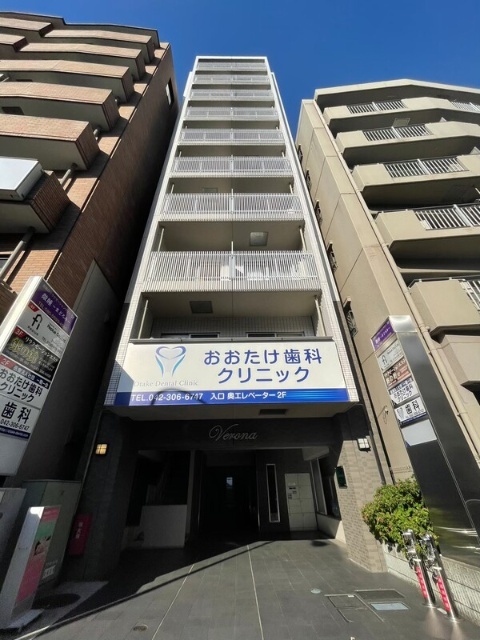 �앐���@���{�͌��w�i�k��11���j