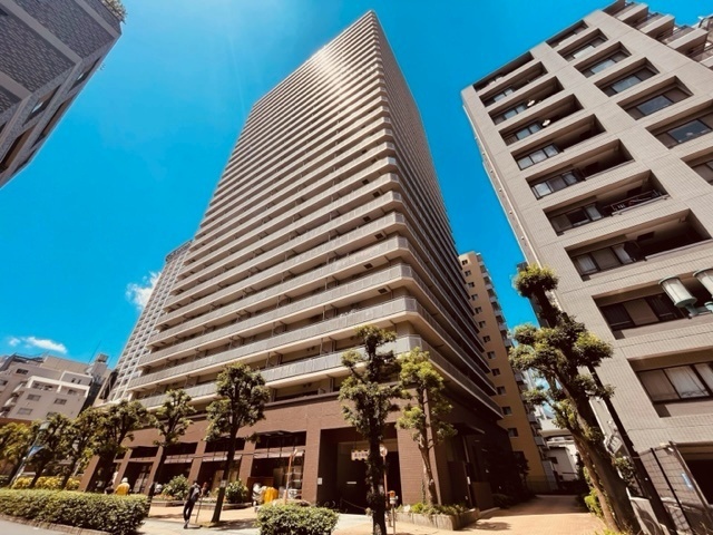 �앐���@�{���{���w�i�k��15���j