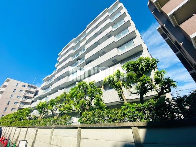 �����s�������s�������E�S���ڂQ�k�c�j