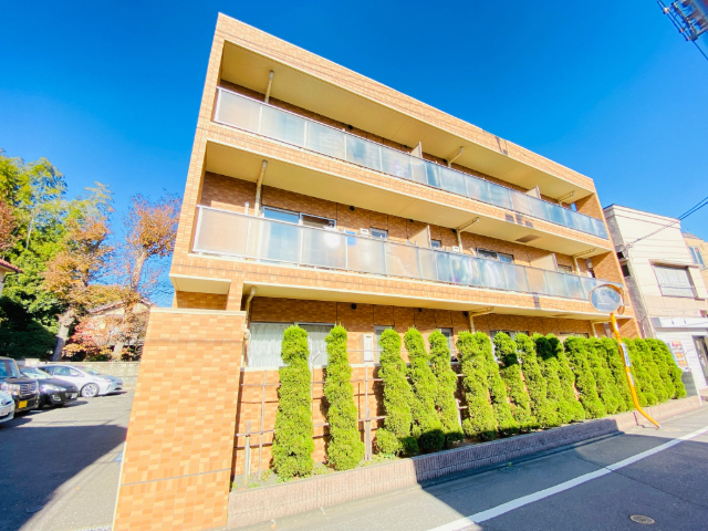 �����V�h���@�c���w�i�k��8���j