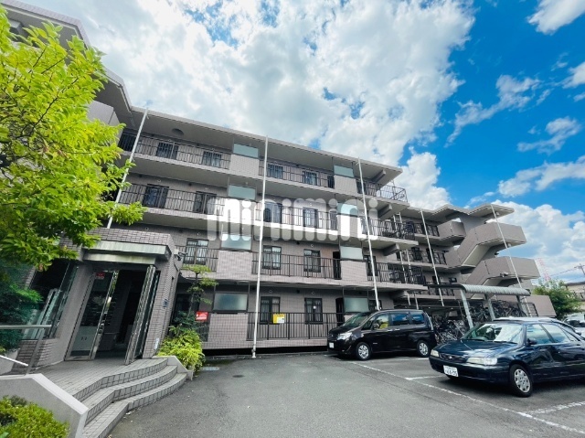 ���l���@���͌��w�i�k��28���j