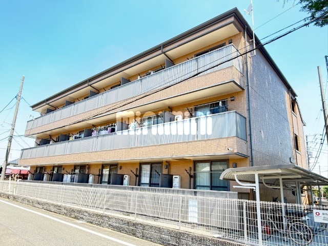 _ސ쌧͌s΋擌{SڂPj