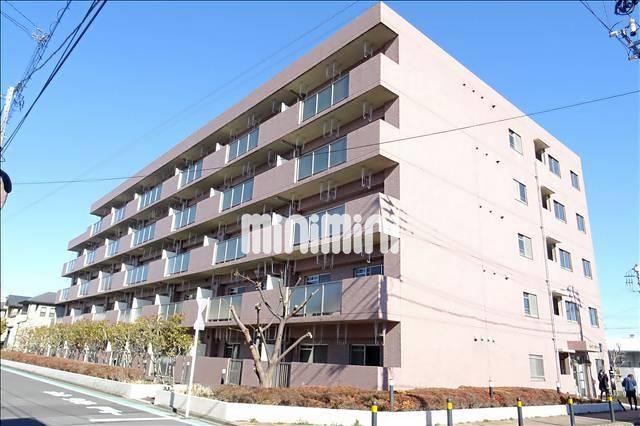 ���͐��@�싴�{�w�i�k��8���j