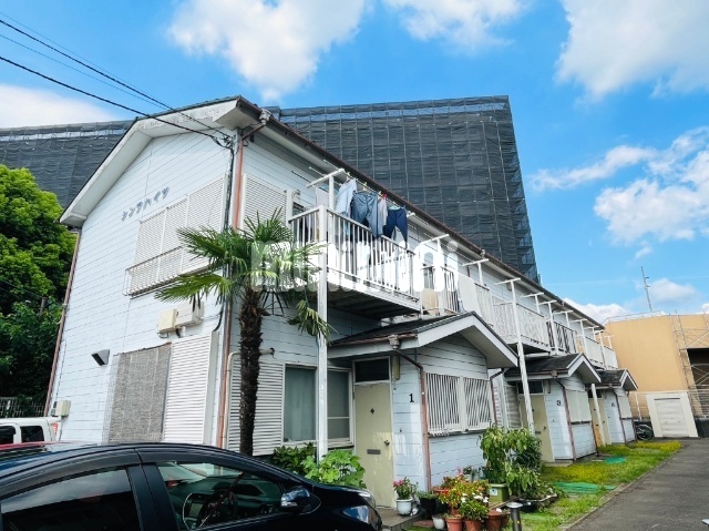 ���͐��@�싴�{�w�i�k��5���j