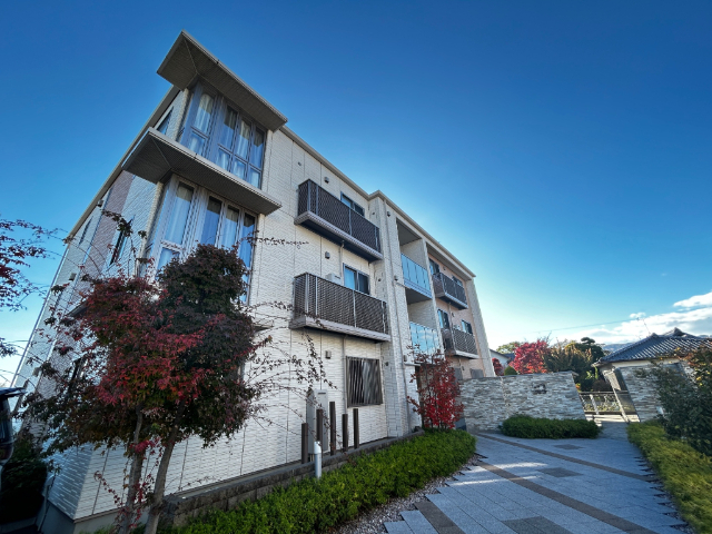 Mz{@mwik18jAm@mwik18jAȂ̓S@mwik18j