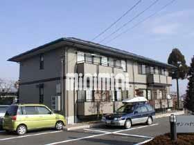 ����d�S������@�����w�i�k��25���j