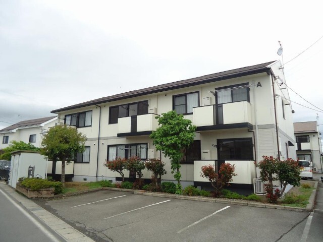 m@mwik19jAMz{@mwik19jAȂ̓S@mwik19j