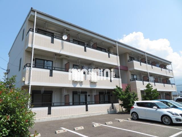 �m����@�L�u�w�i�k��19���j