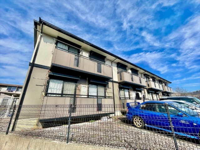 �����{���@�L�c�w�i�k��24���j