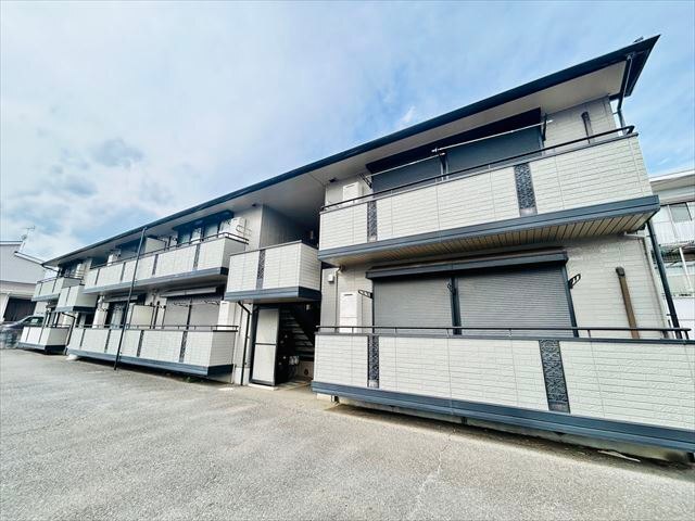 �~���@�͕Ӊw�i�k��31���j