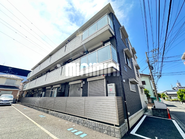 �����d�S���͌����@���{�w�i�k��22���j