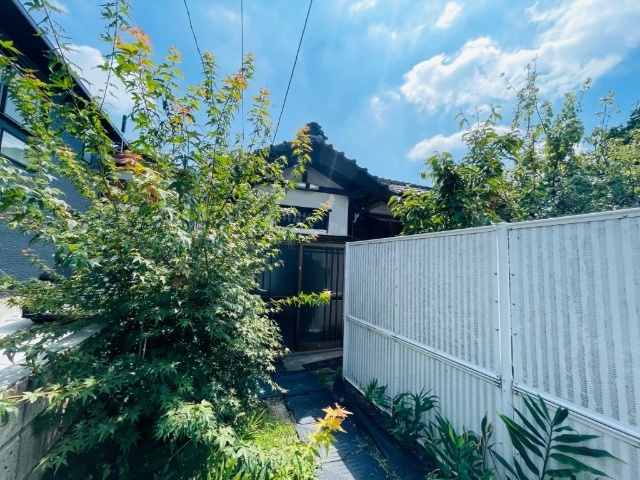 �������g���ۃm�����@�V����w�i�k��6���j