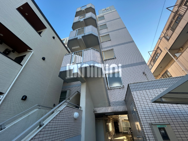 ���͐��@�싴�{�w�i�k��7���j