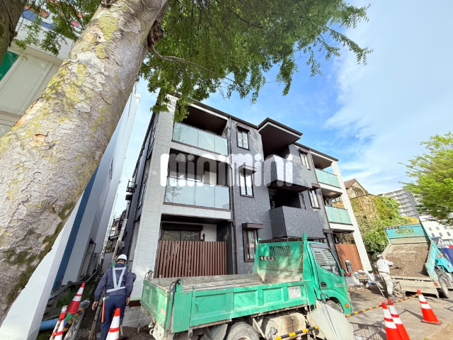 �_�ސ쌧���͌��s�����摊�͌��W���ڂQ�k�c�j