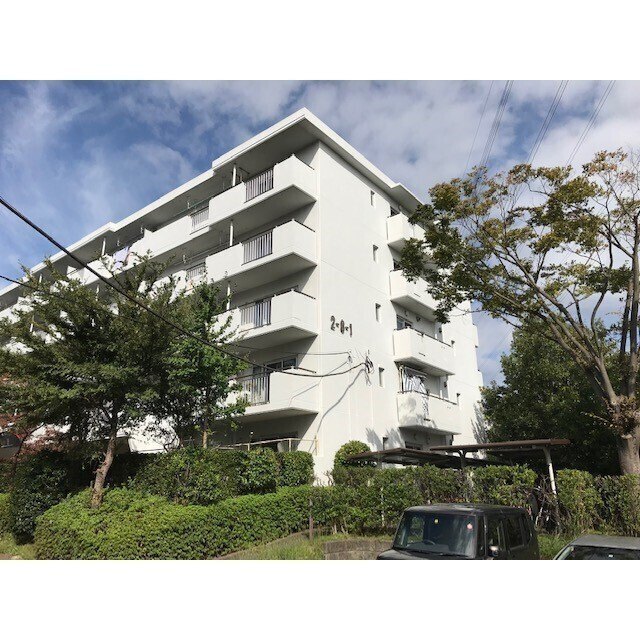 ���c�}�d�S�������@���c�}�i�R�w�i�k��25���j