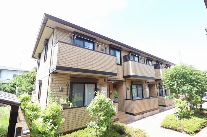 �����{���@�����w�i�k��25���j