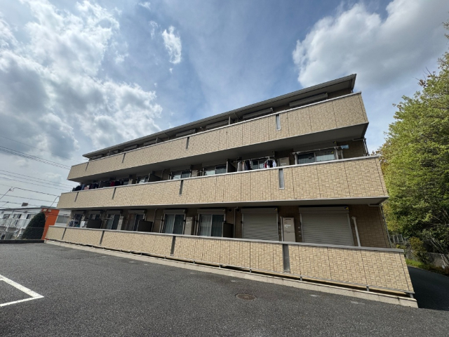 �����d�S���͌����@�����i�R�w�i�k��13���j