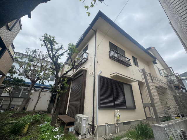 �������g���ۃm�����@���E�w�i�k��19���j