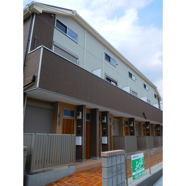 �����V�h���@�����R�w�i�k��8���j