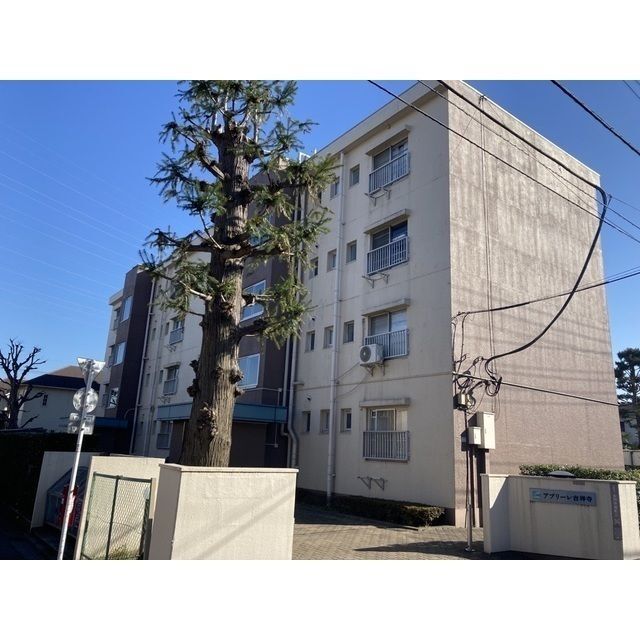 �����{���@�g�ˎ��w�i�k��14���j