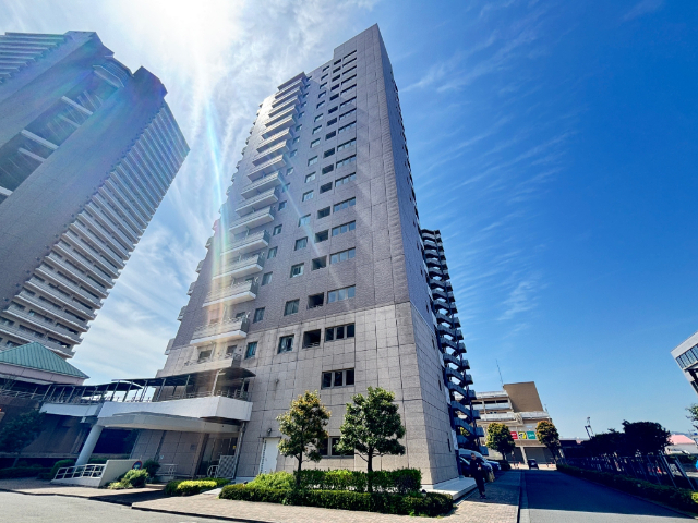 �����d�S���͌����@���{�w�i�k��13���j