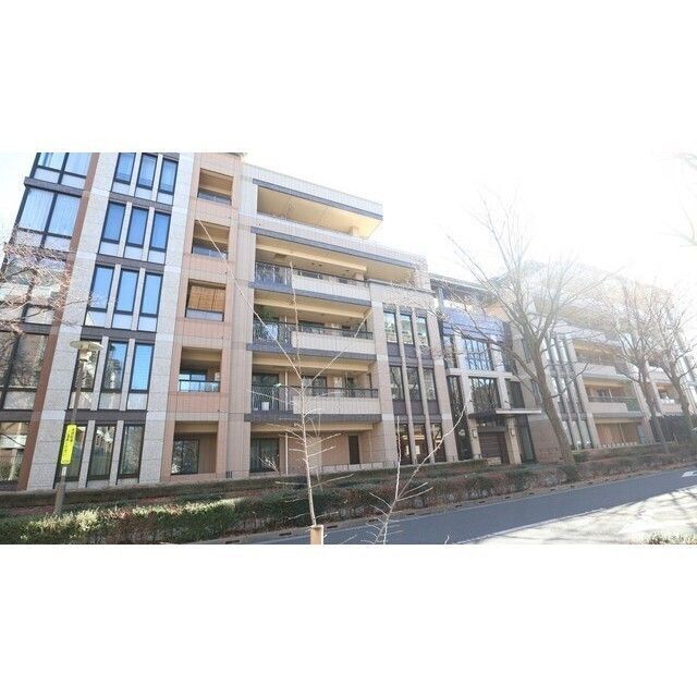 �I�X�X�������ʐ^