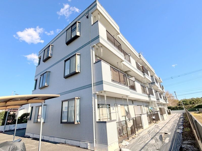 �����V�h���@�����w�i�k��10���j