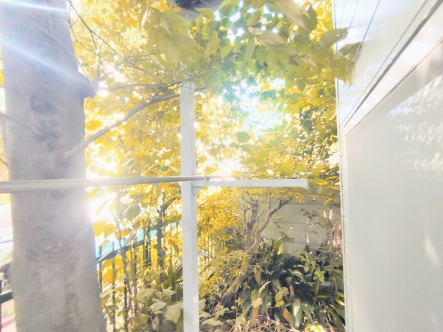 ����20
